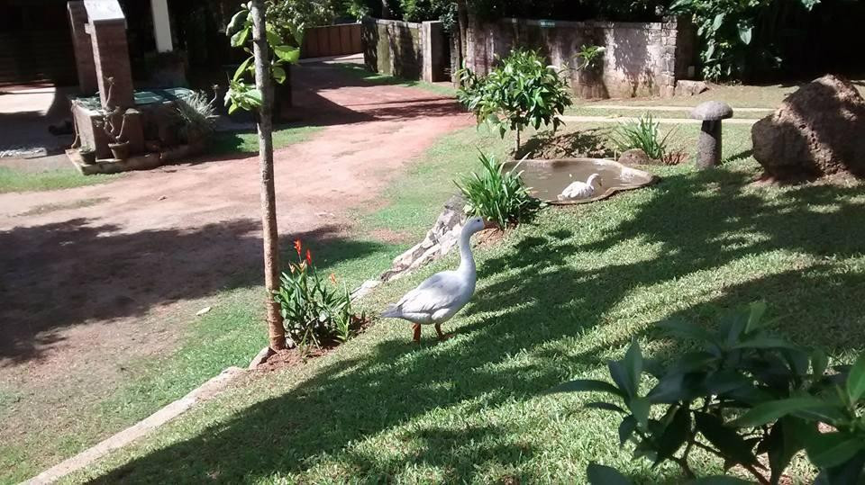 Marigold Hotel主图