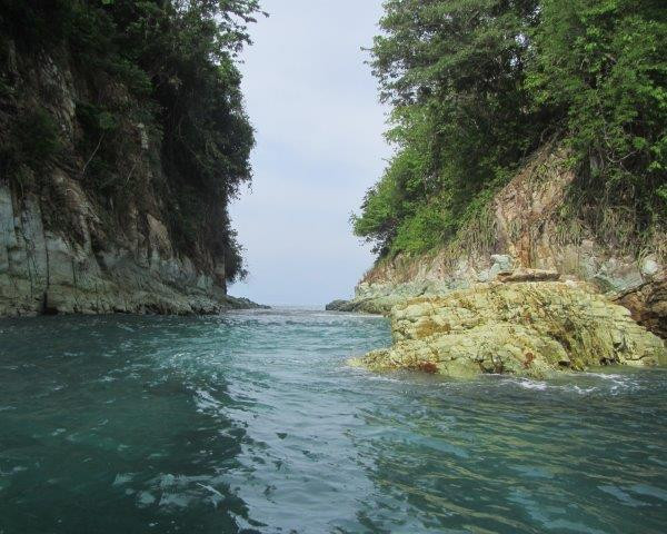 Whale and Dolphin Wisdom Retreats-Contadora Island必去景点