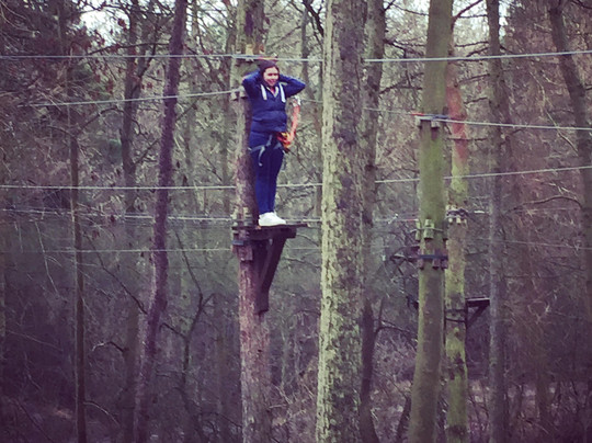 Jungle Parc - Northampton-韦灵伯勒必去景点