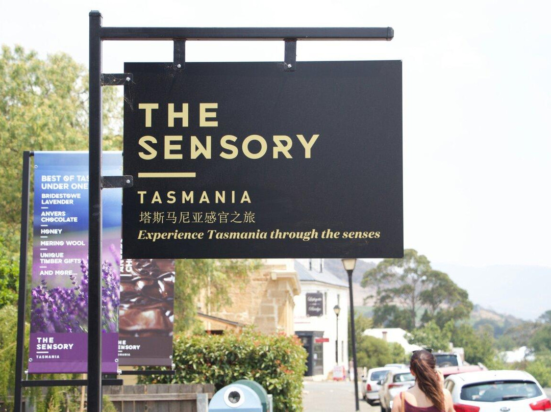 The Sensory Tasmania景点图片