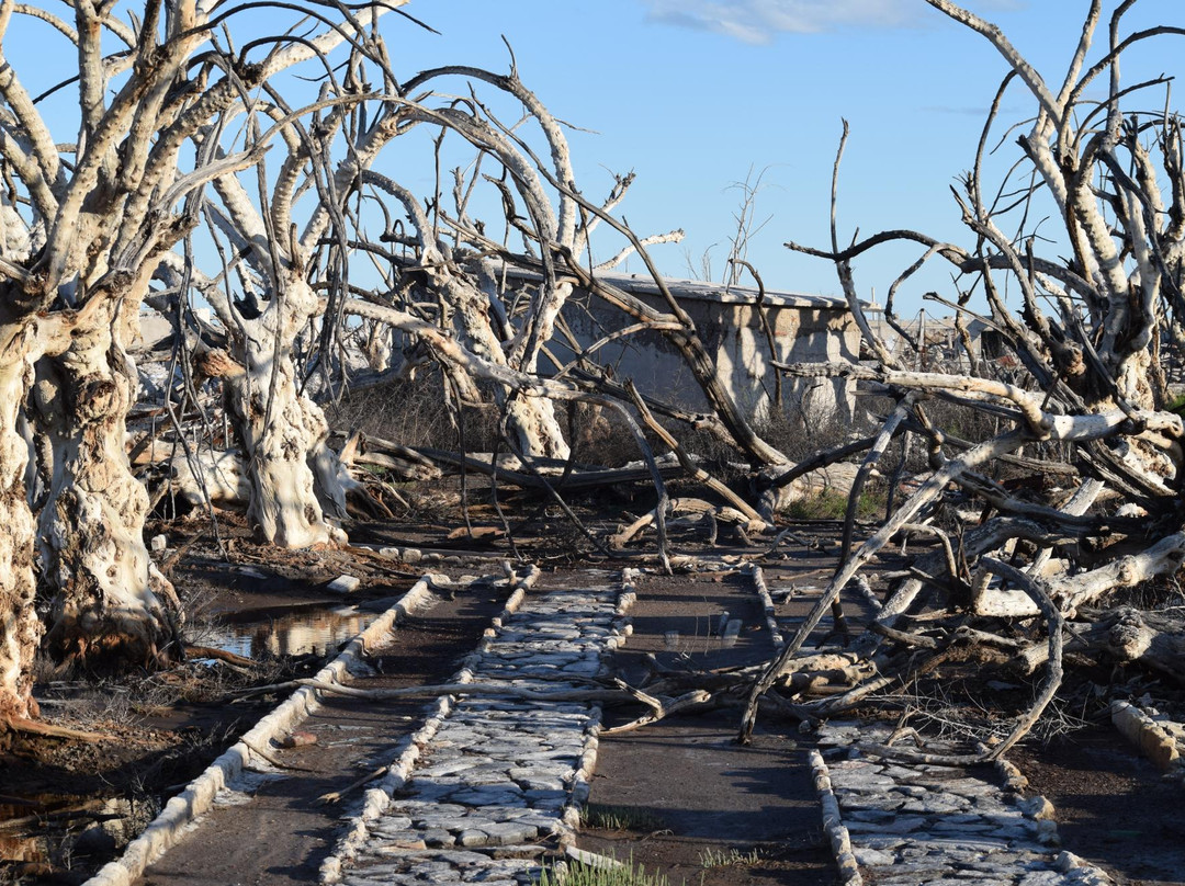 Carhue旅游攻略图片