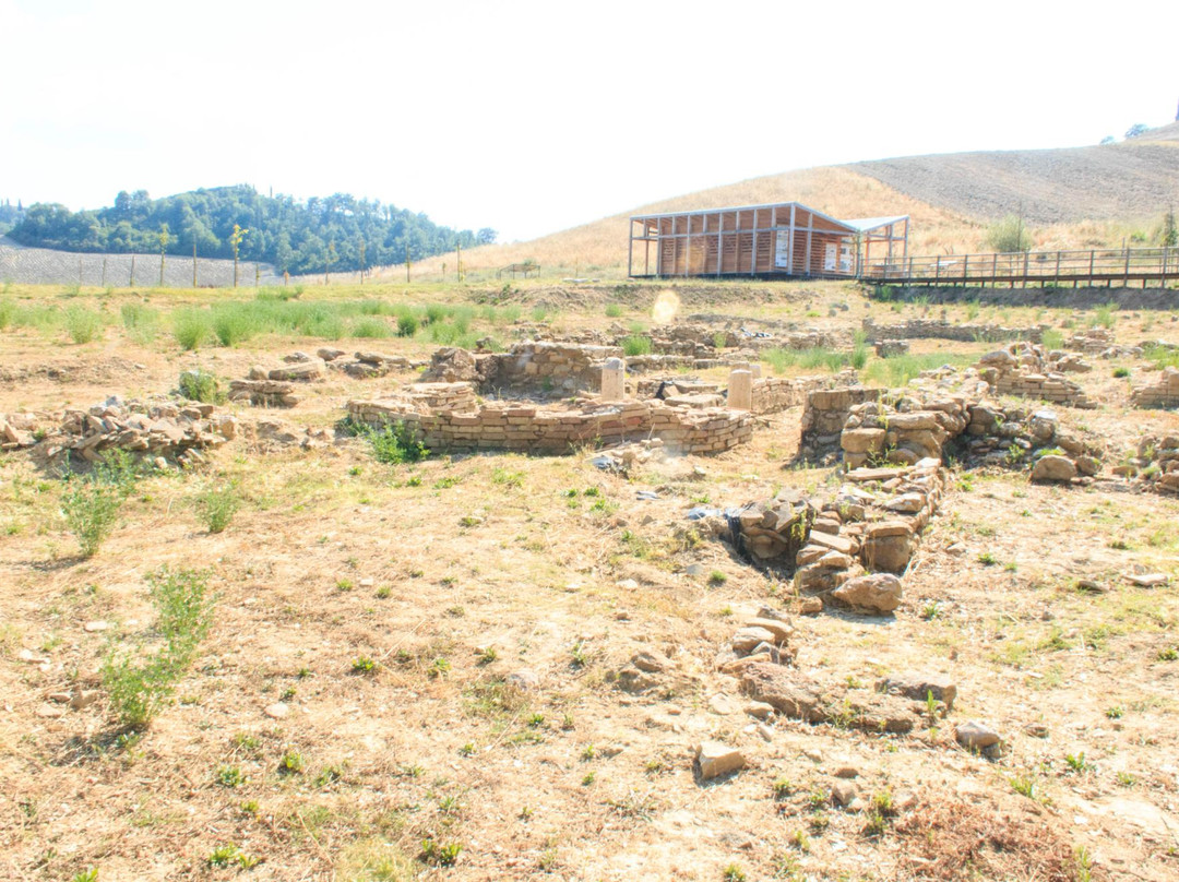 Parco Archeologico Pava景点图片