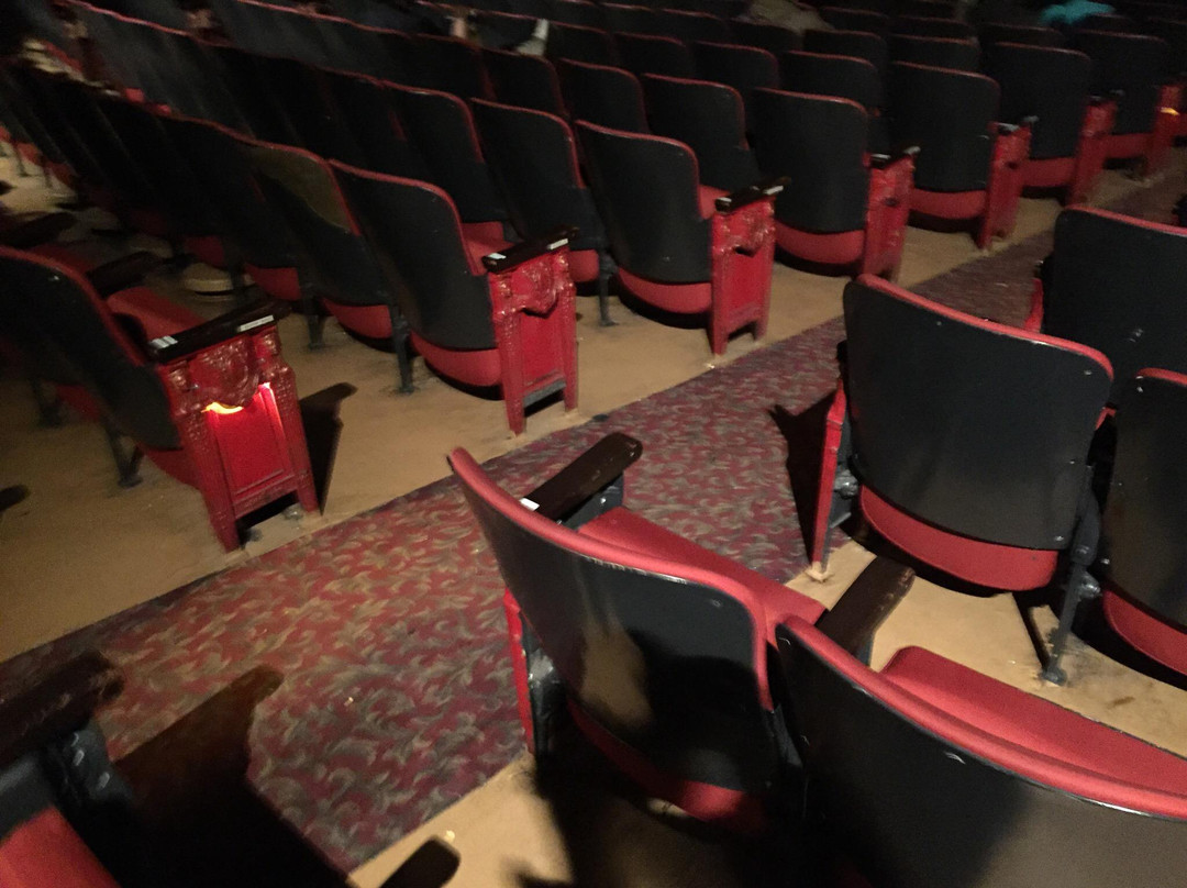 Music Box Theatre-芝加哥必去景点