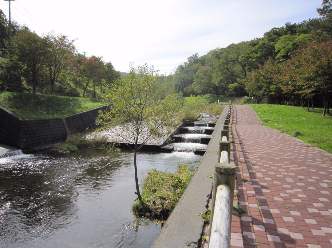 Pereke River Shore Park景点图片