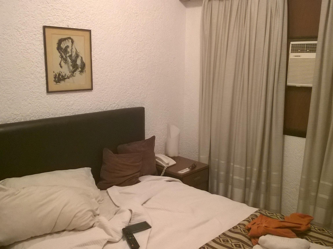 Hotel Zarate Palace主图