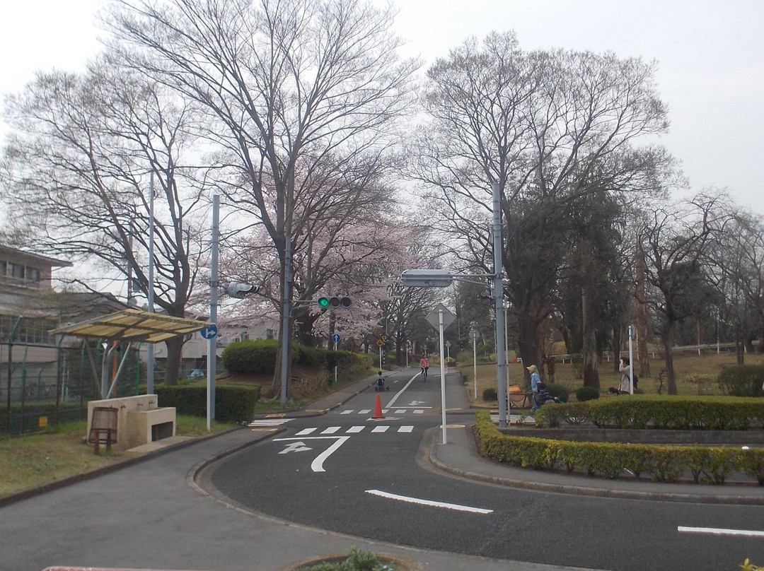 Matsudo Eucalyptus Traffic Park-松户市必去景点