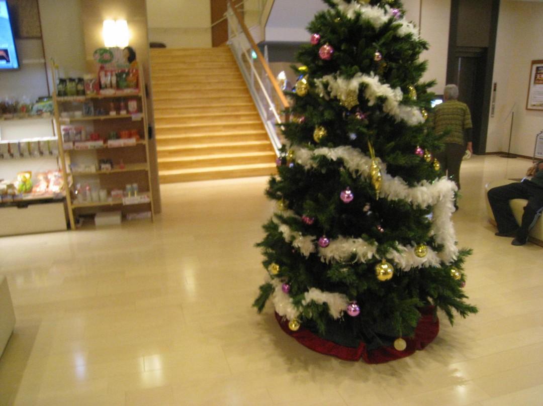 Ashiya Onsen Spa Suisyun-芦屋市必去景点