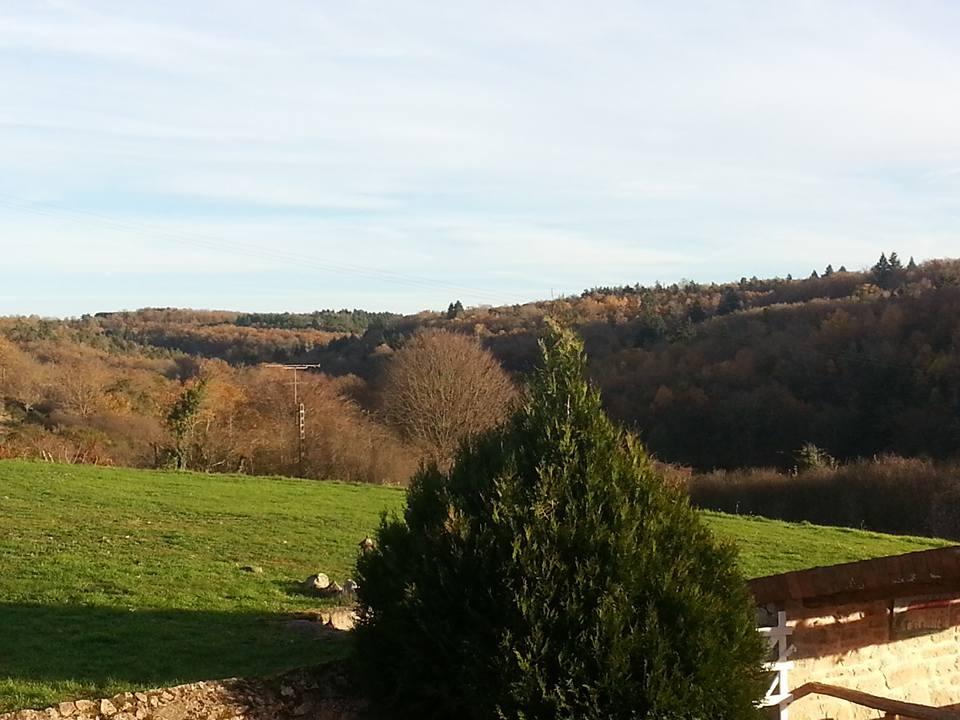 Domaine De Clermont-酒店景观
