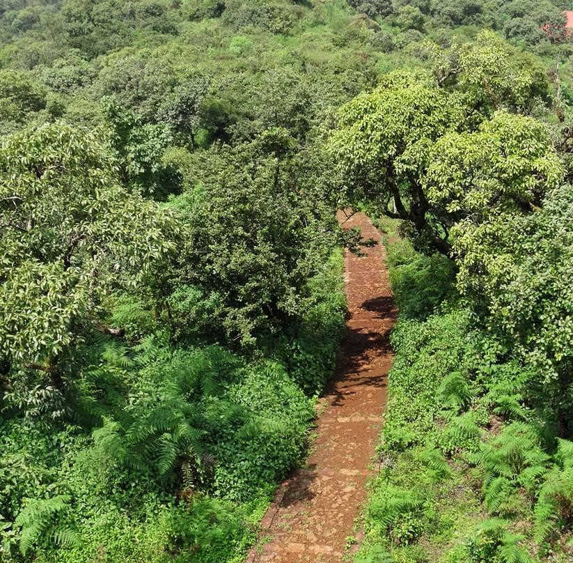 Gureghar Nature Trail景点图片