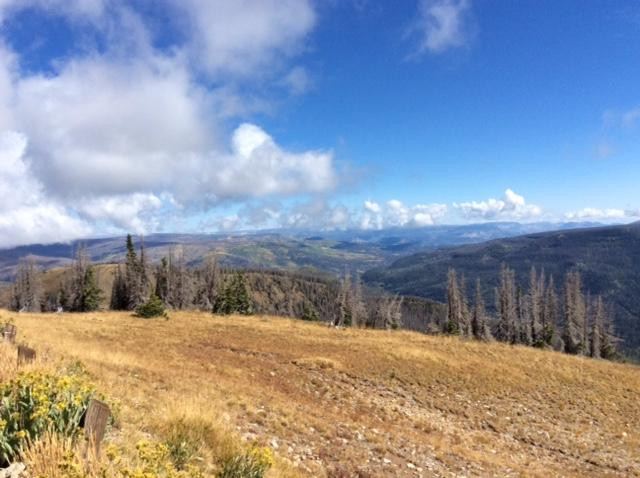 Lobo Overlook / Radio Tower-帕戈萨斯普林斯必去景点