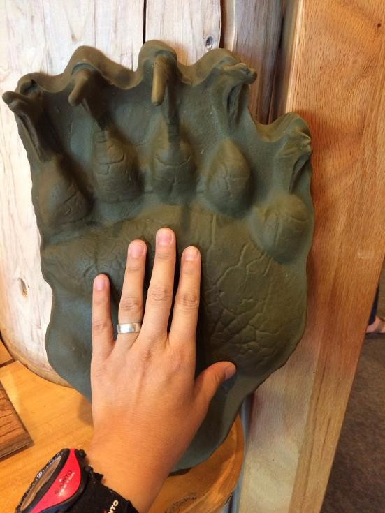 Walter Harper Talkeetna Ranger Station-塔尔基特纳必去景点