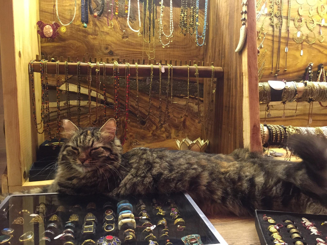 Mosh Beach-埃拉特必去景点