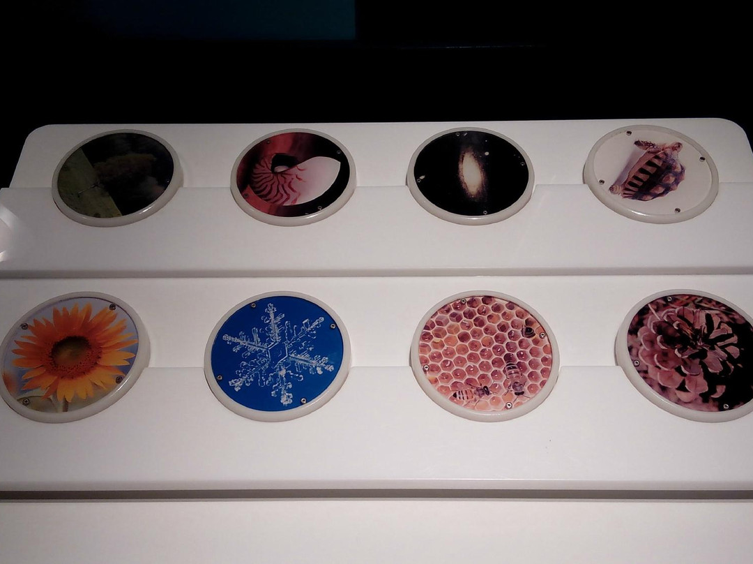 Chiba City Museum of Science-千叶市必去景点