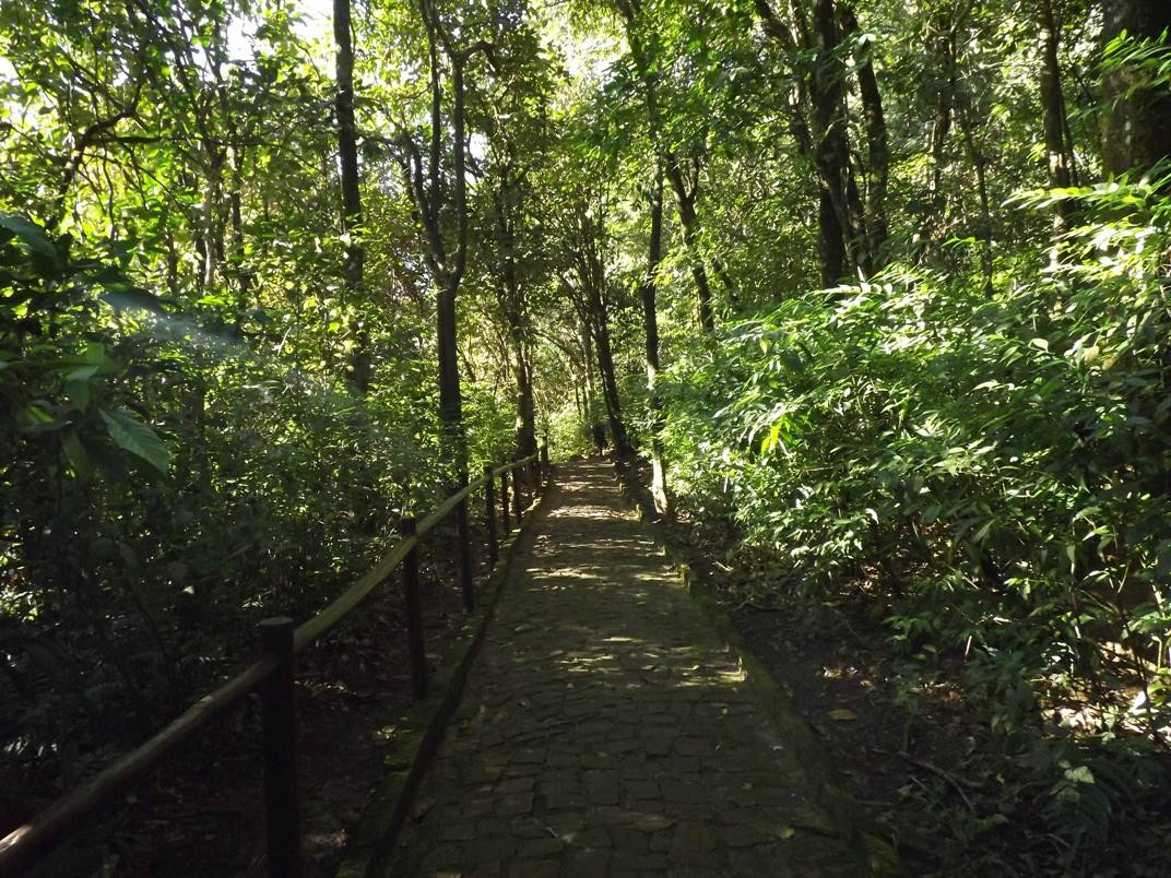 Parque Natural Municipal Salto do Sucuriú景点图片