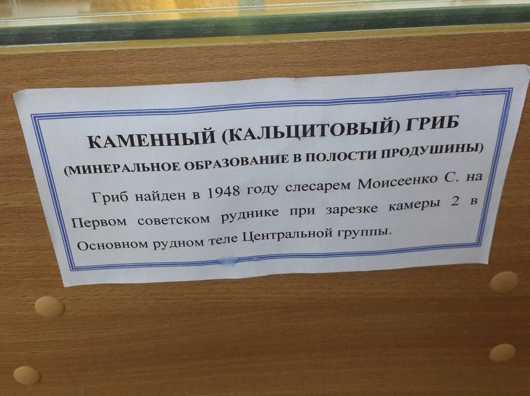 Dalnegorsk History Museum-Dalnegorsk必去景点