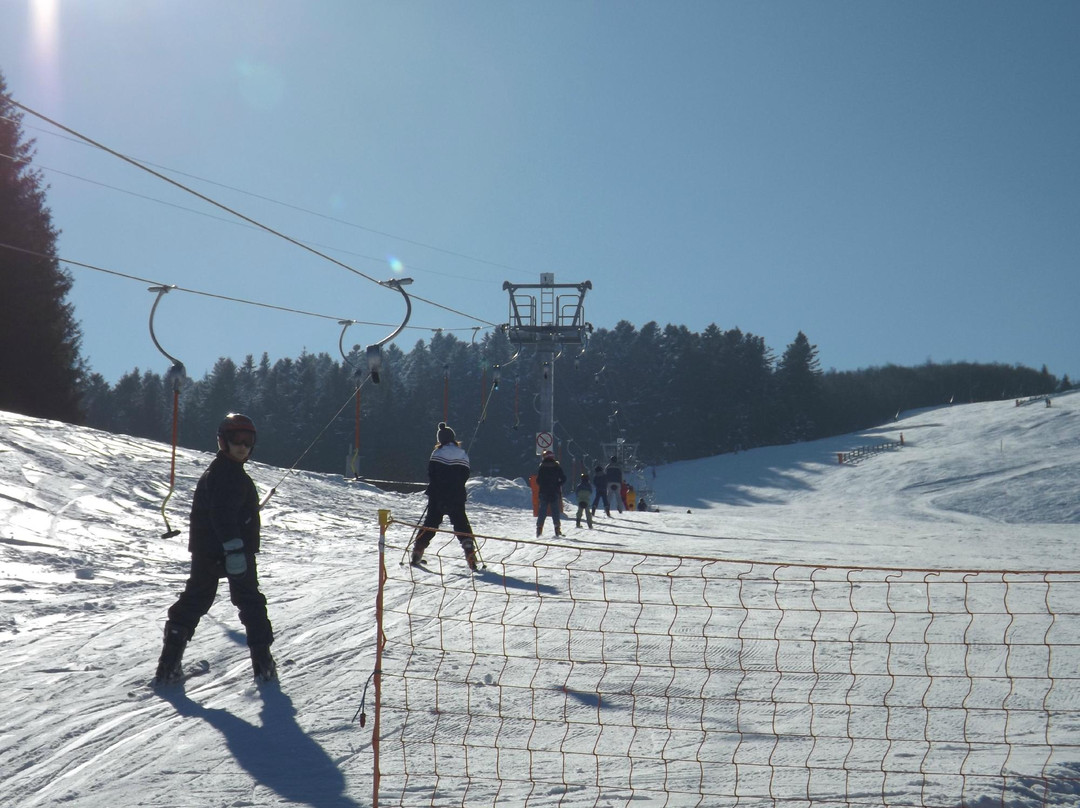 Parc d'Activités de Montagne de Prabouré景点图片