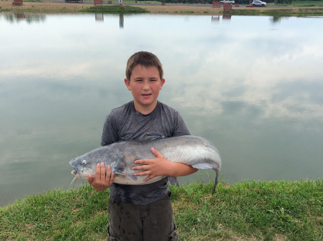 Zetts Tri-State Fish Hatchery-Inwood必去景点