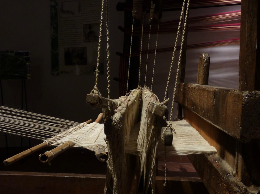Museo della Canapa景点图片
