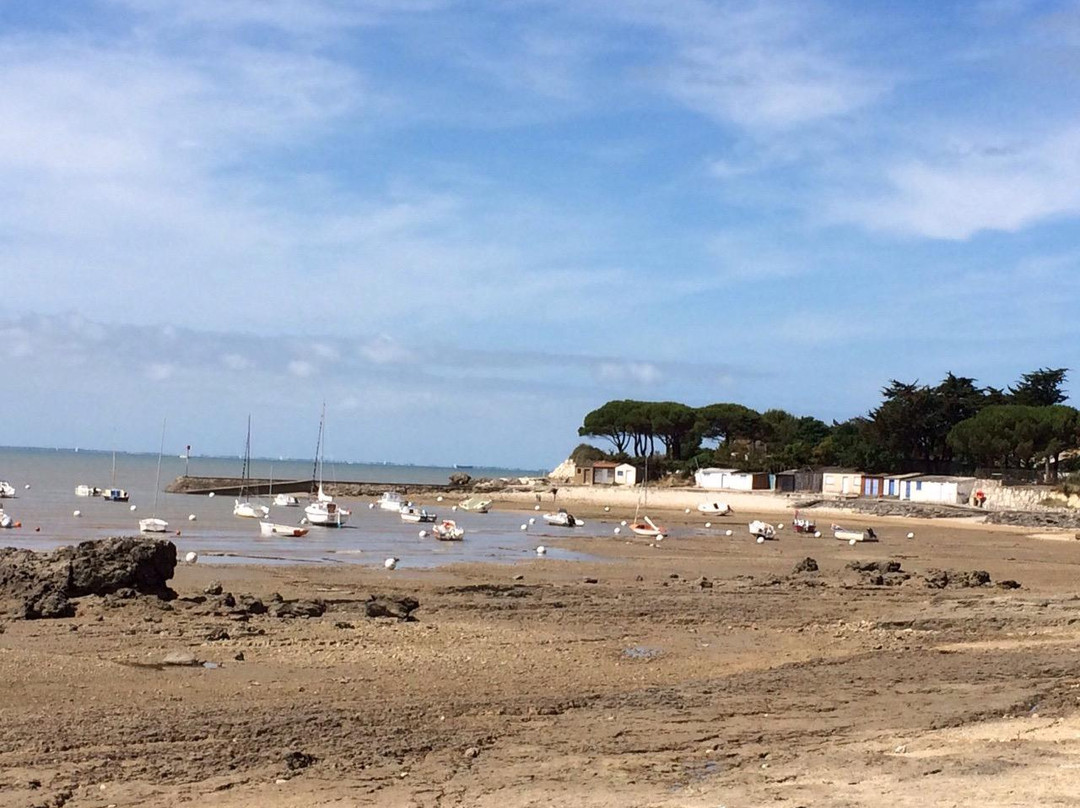 Le Port du Loiron景点图片
