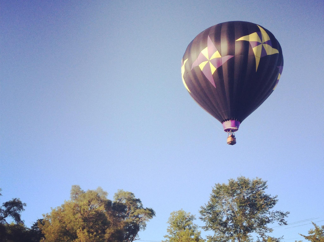 Majestic Balloon Flights景点图片