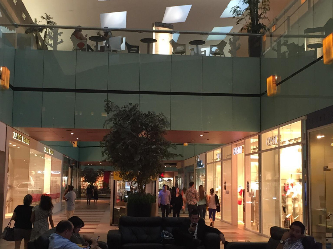 Paseo San Pedro Centro Comercial景点图片