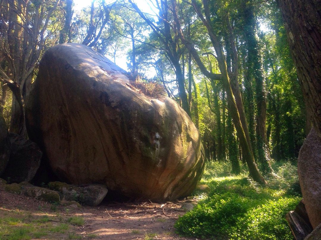 Sintra Climbing Tours景点图片