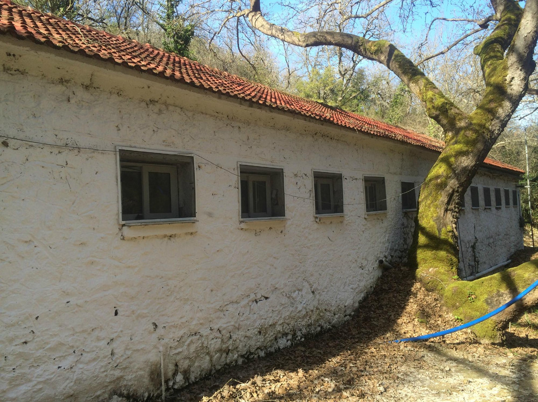 Baths of  Kaitsa (Loutra Kaitsas)-Karditsa必去景点