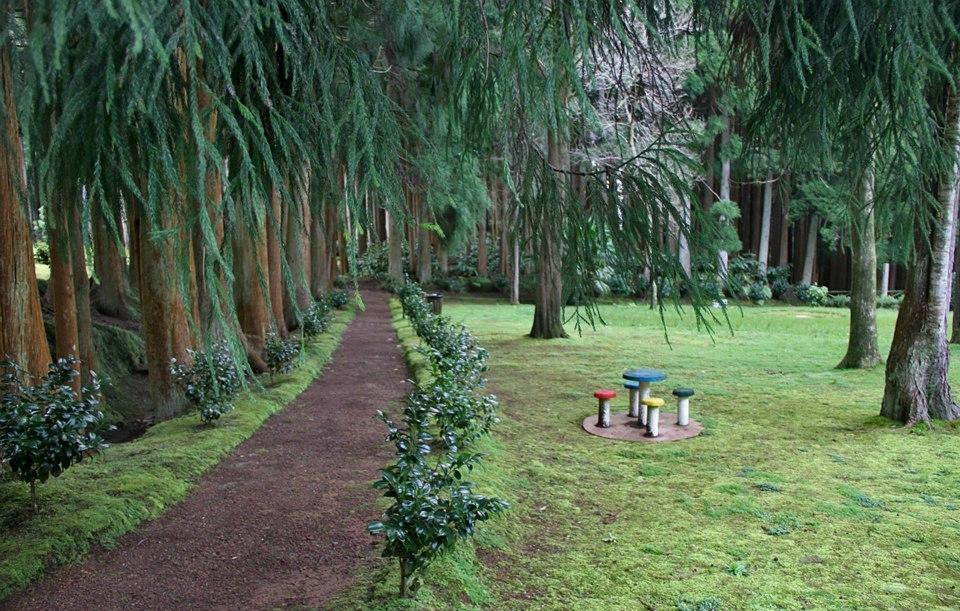 Reserva Florestal de Recreio de Fontinhas景点图片