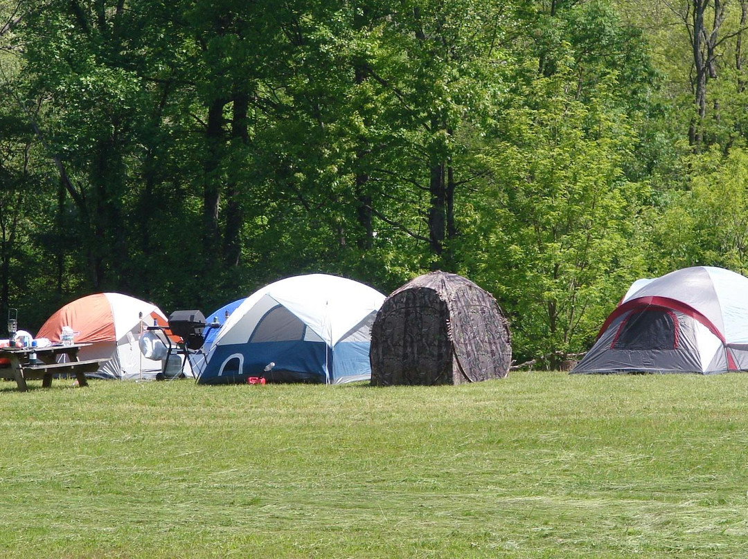 Five River Campgrounds