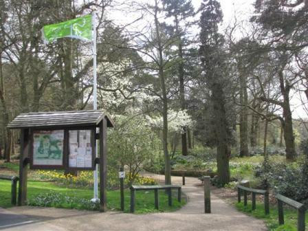 Lily Hill Park景点图片