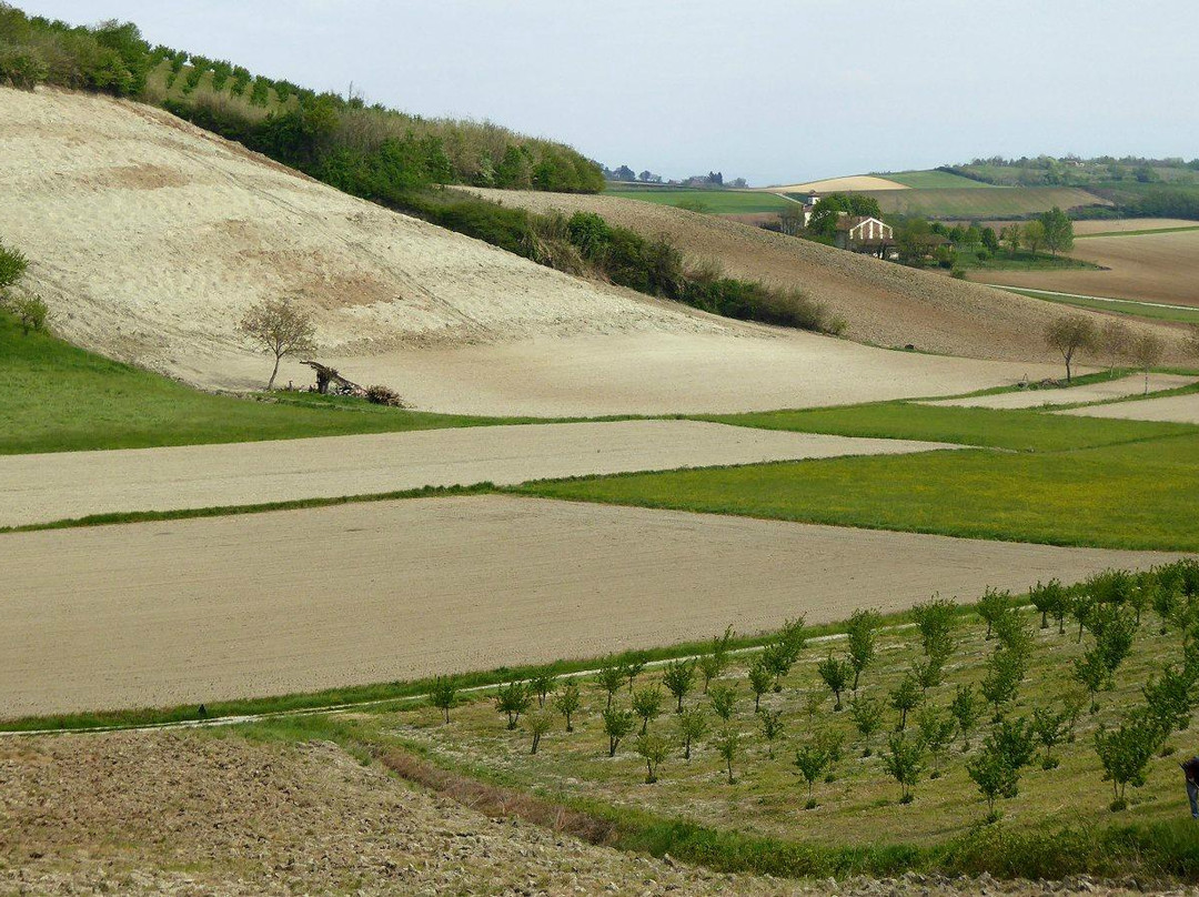 Strada Panoramica Tra Cuccaro Monferrato e Lu景点图片