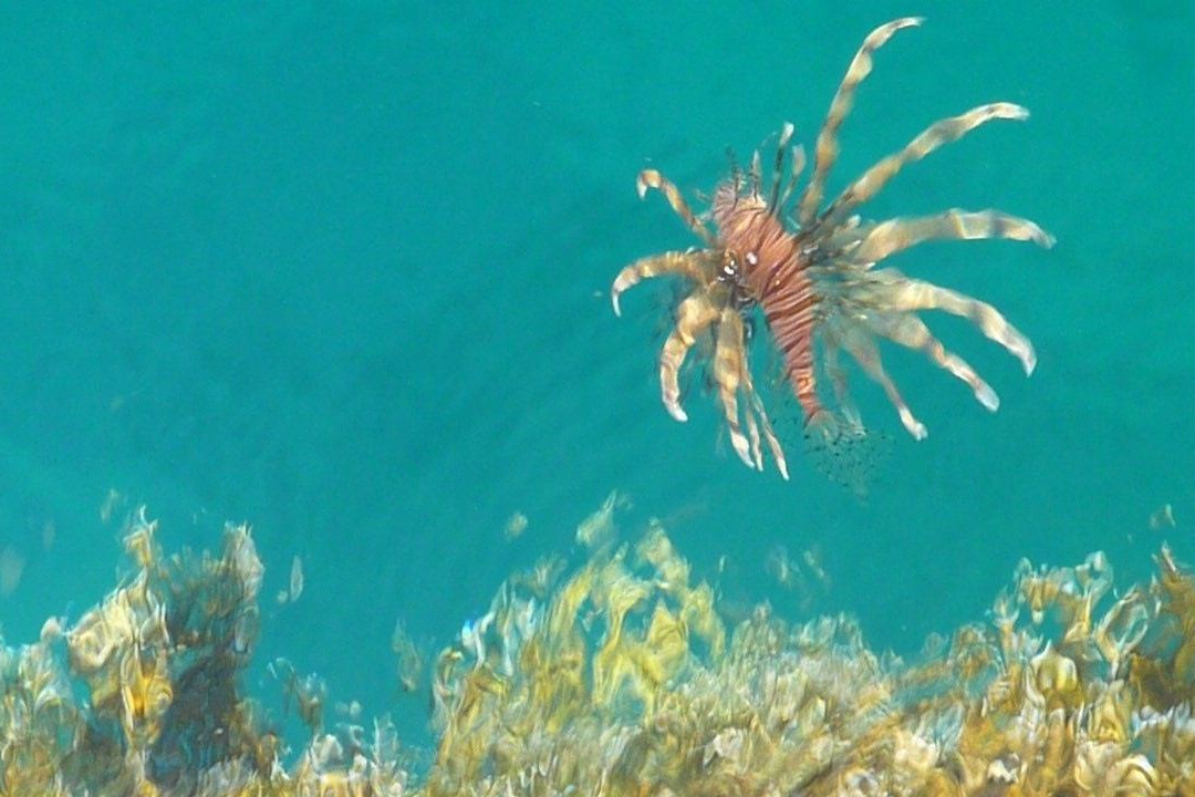 Marsa Shoona Bay-马萨阿拉姆必去景点