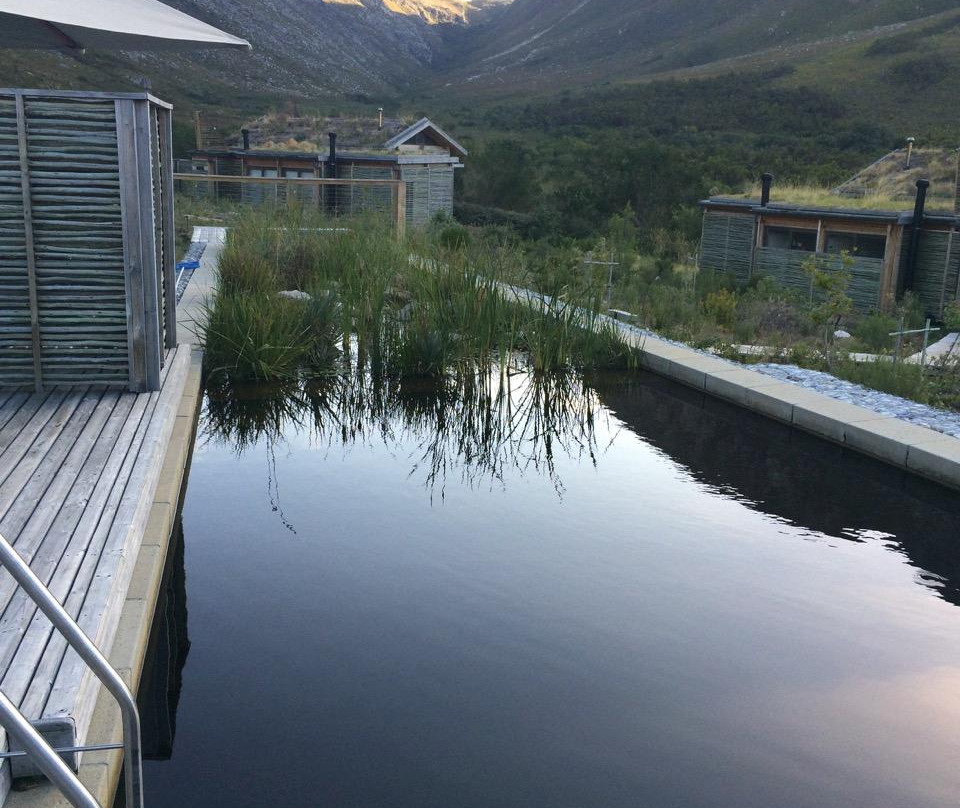 Kogelberg Nature Reserve-开普敦必去景点