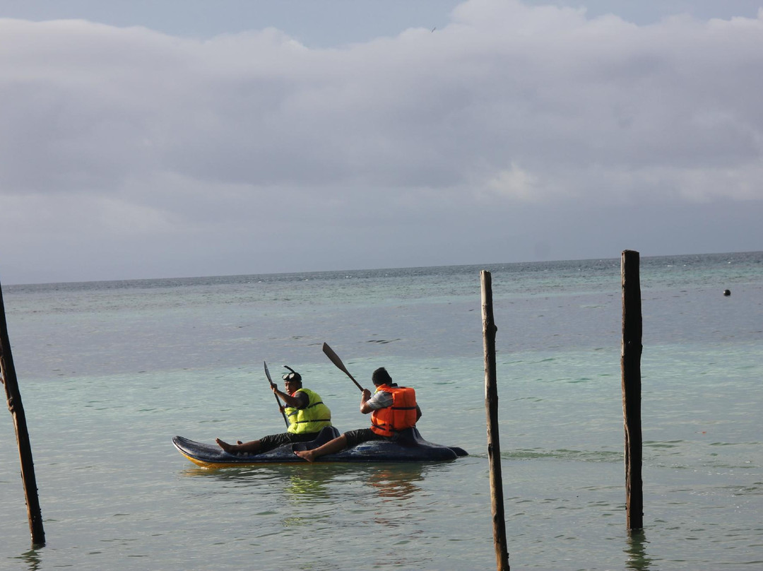 Pantai Saleo, Raja Ampat-Waisai必去景点