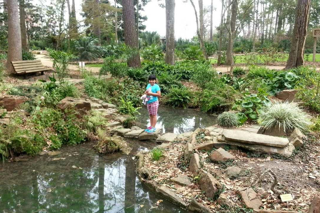 Mercer Botanic Gardens-汉布尔必去景点