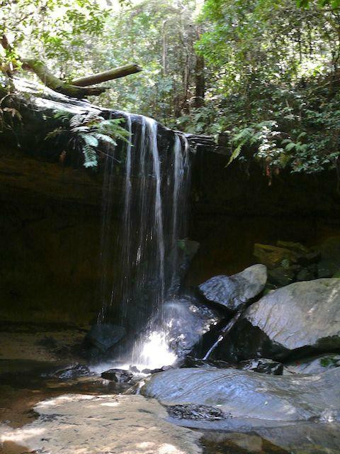 Horseshoe Falls Walk景点图片