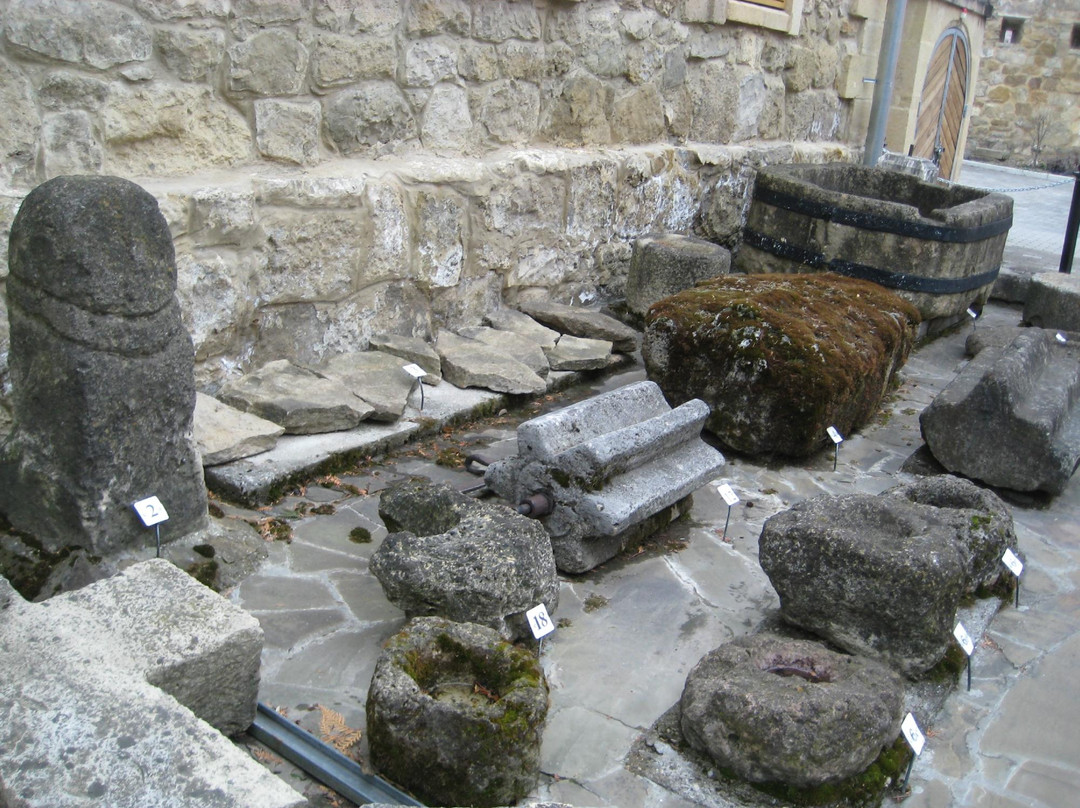 Krepost Local History Museum景点图片