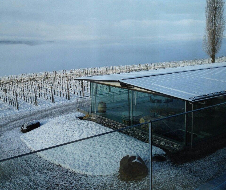 Weingut Hausammann-Uesslingen-Buch必去景点