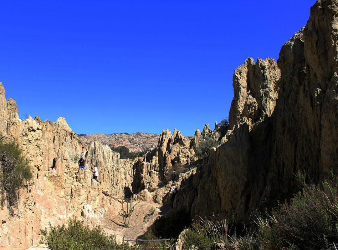 Valley of the Moon景点图片