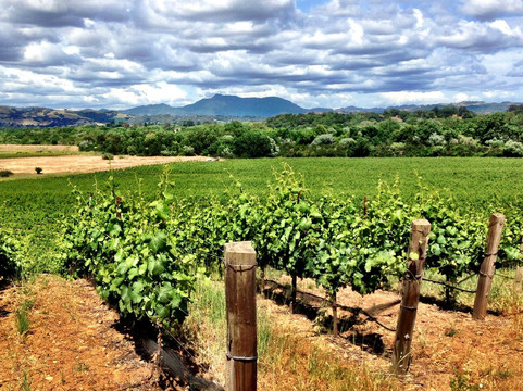 Chile Trip Adventure-瓦尔帕莱索必去景点