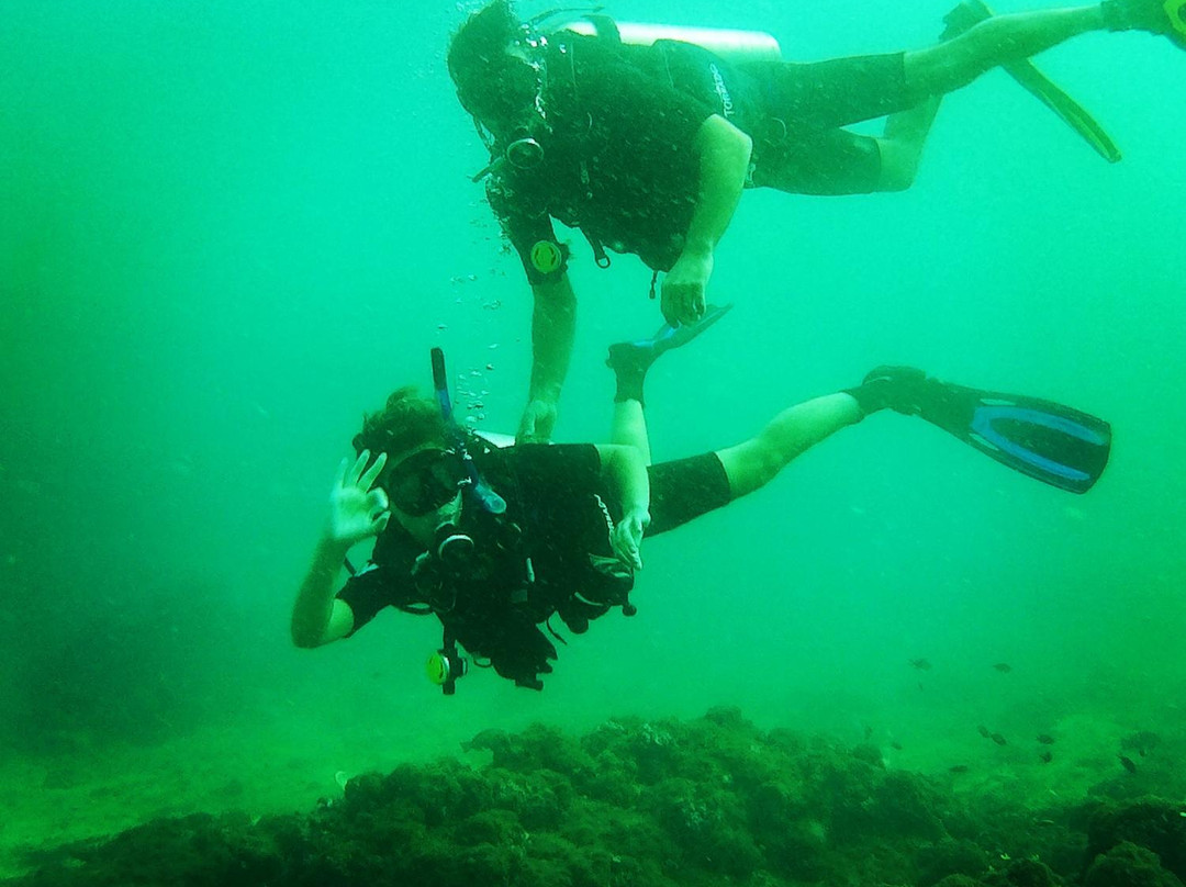 Epic Encounters Dive & Adventure Centre景点图片