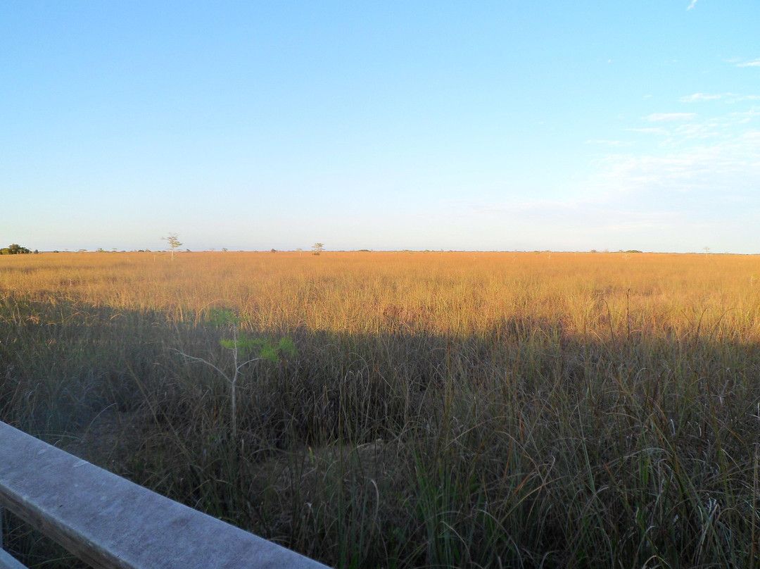 Pa-hay-okee Trail-大沼泽国家公园必去景点