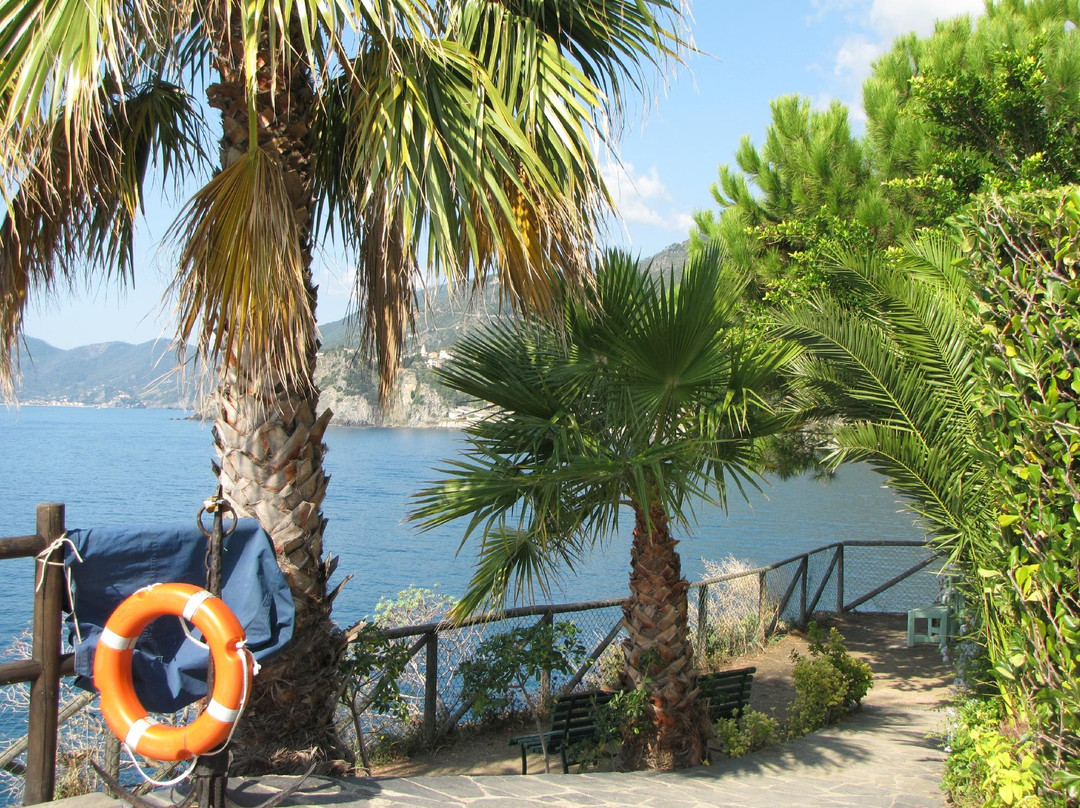 Cinque Terre Private Tours景点图片