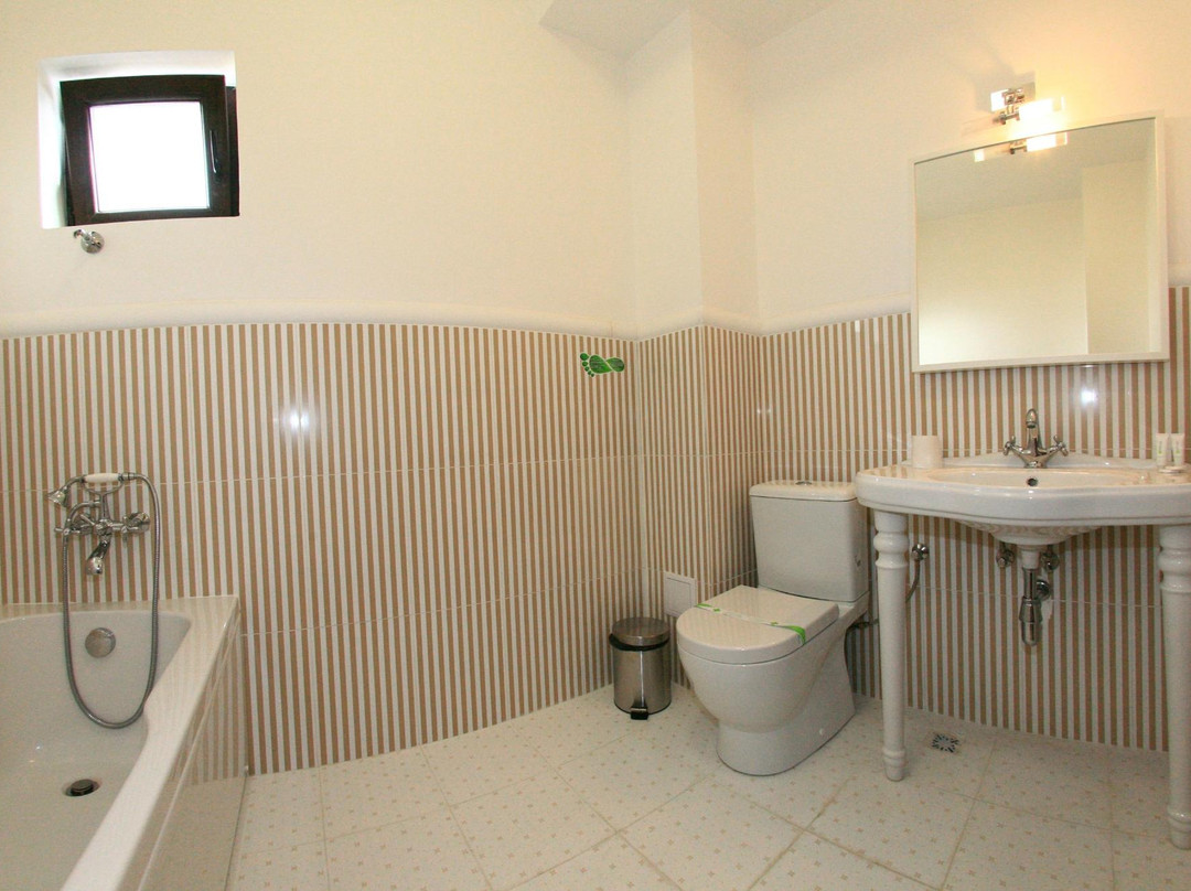 Pensiunea Clasic主图