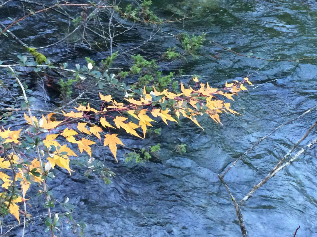 火花海景点图片