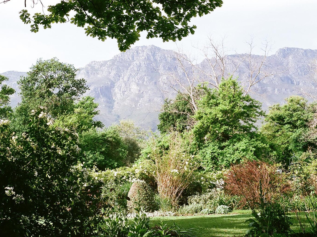 Rustenberg Wines-斯泰伦博斯必去景点