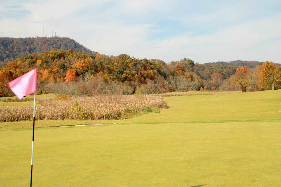 Cattails at Meadowview-金斯波特必去景点