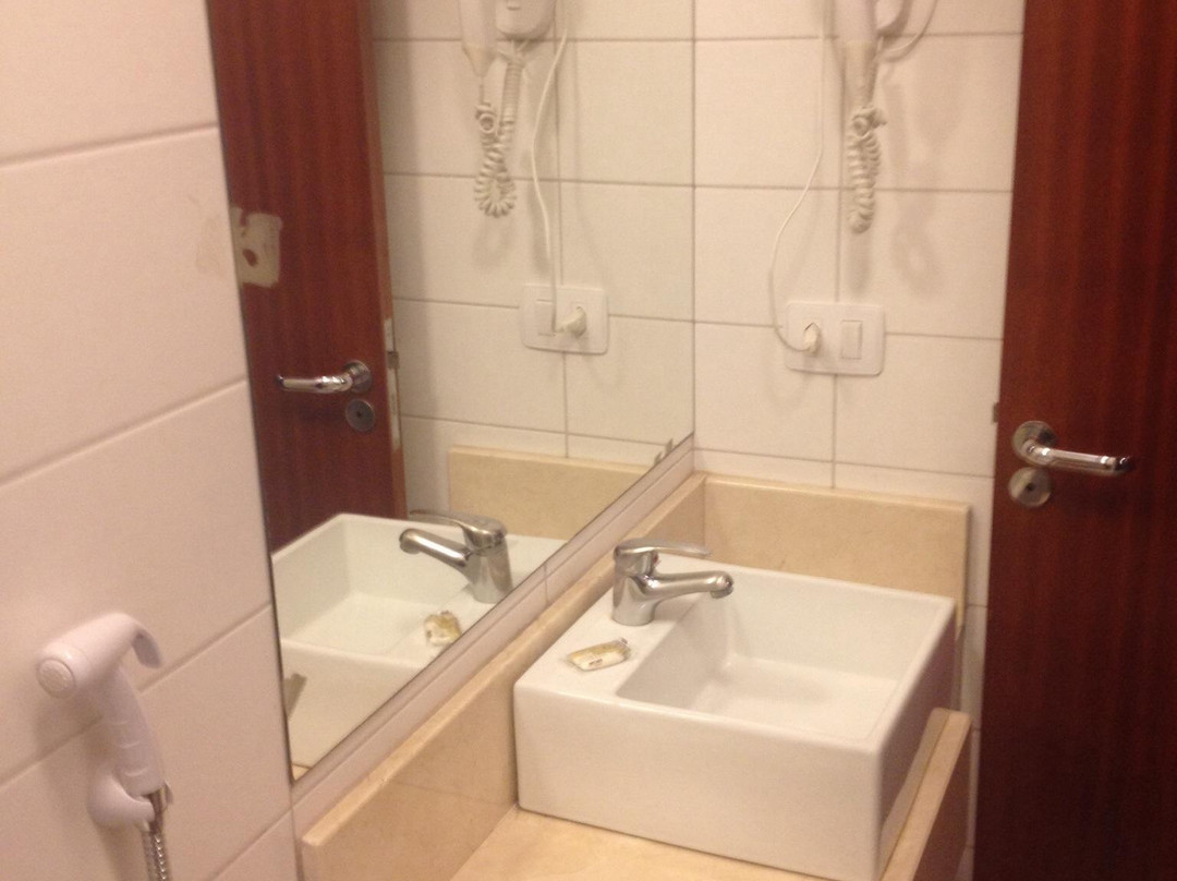 Shelton Palace Hotel主图