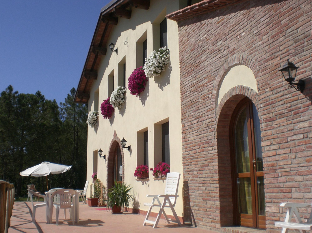 Montopoli in Val d'Arno酒店住宿-Santa Barbara Country House