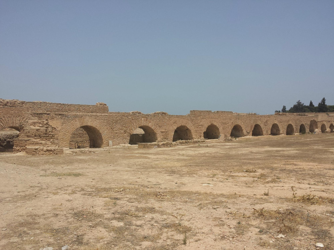 迦太基旅游景点-Carthage  Aqueduct